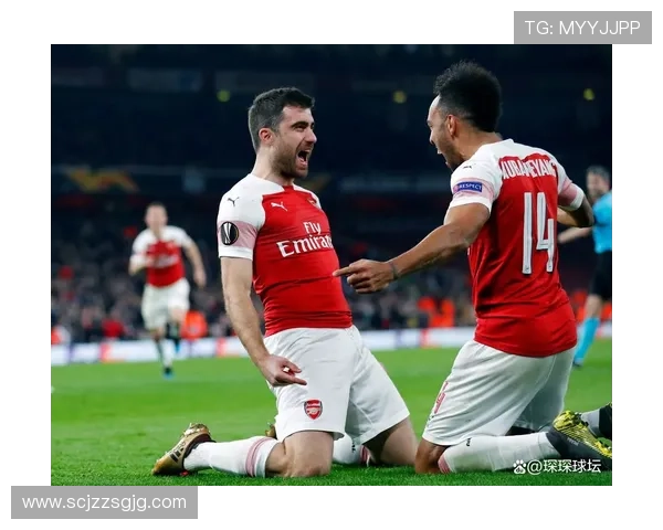 足球高分球队持续保持强劲状态，备受关注的新赛季期待再创佳绩