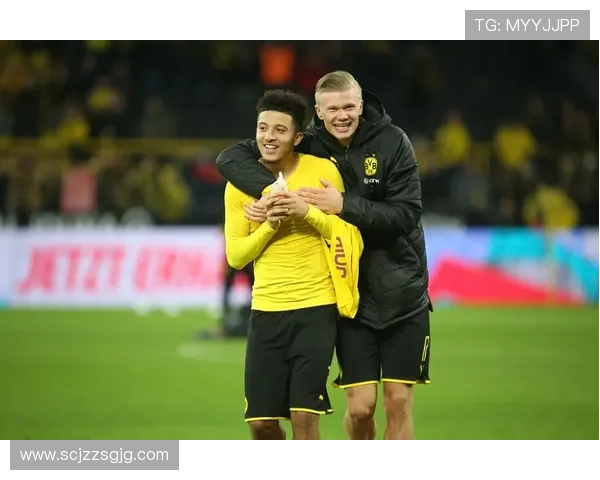 奥坎波斯进攻端价值